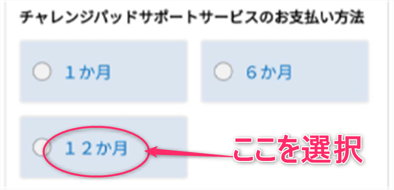 進研ゼミ小学講座 申し込み 方法